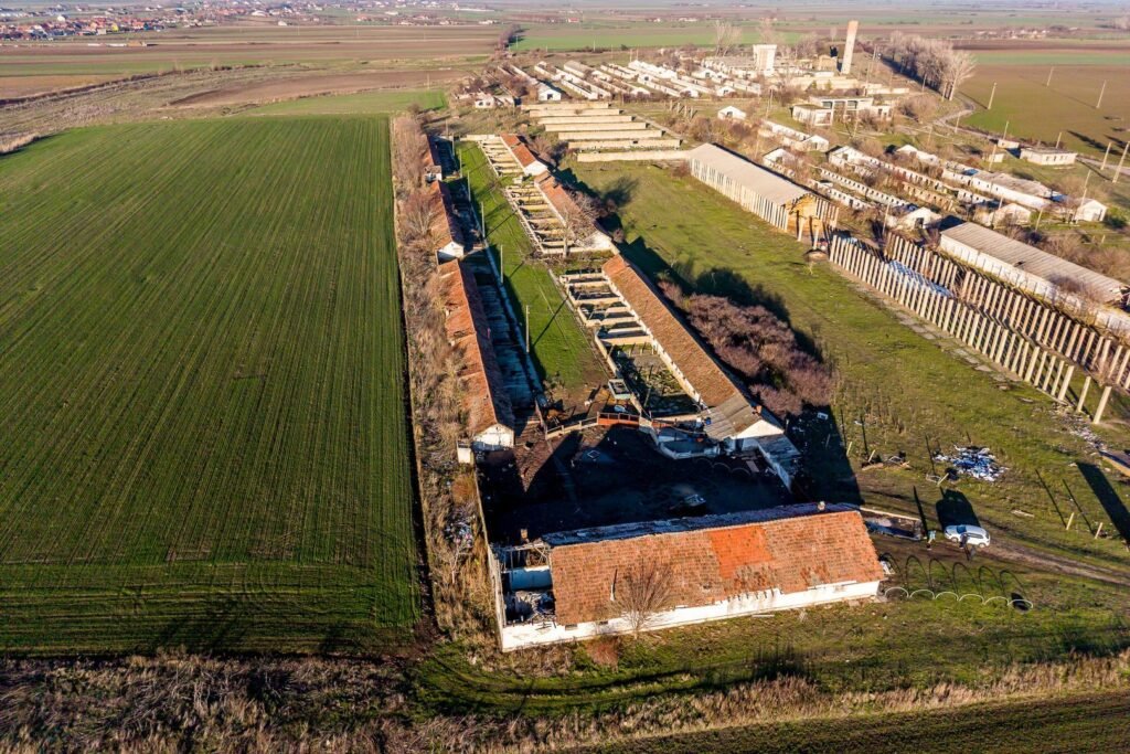 NĂDLAC | Teren 1.15 HA lângă Autostradă | 2.500mp Hale De vânzare NĂDLAC | Teren 1.15 HA lângă Autostradă | 2.500mp Hale în zona Exterior Vest Arad 1