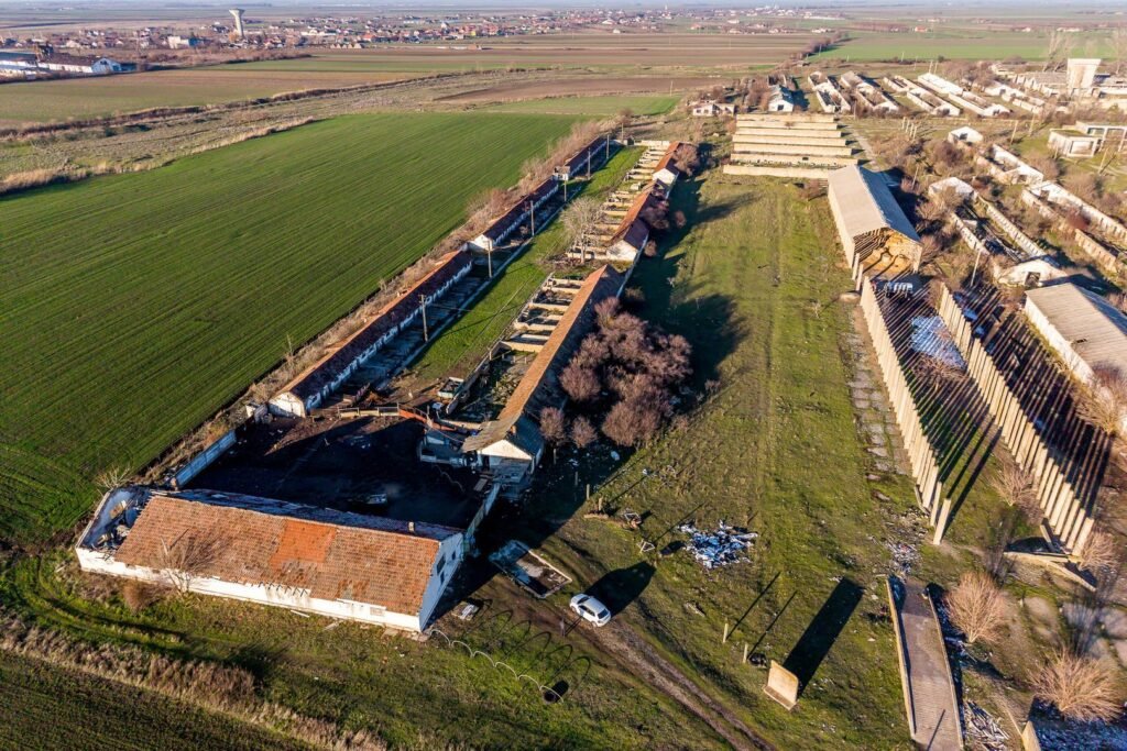 NĂDLAC | Teren 1.15 HA lângă Autostradă | 2.500mp Hale De vânzare NĂDLAC | Teren 1.15 HA lângă Autostradă | 2.500mp Hale în zona Exterior Vest Arad 1