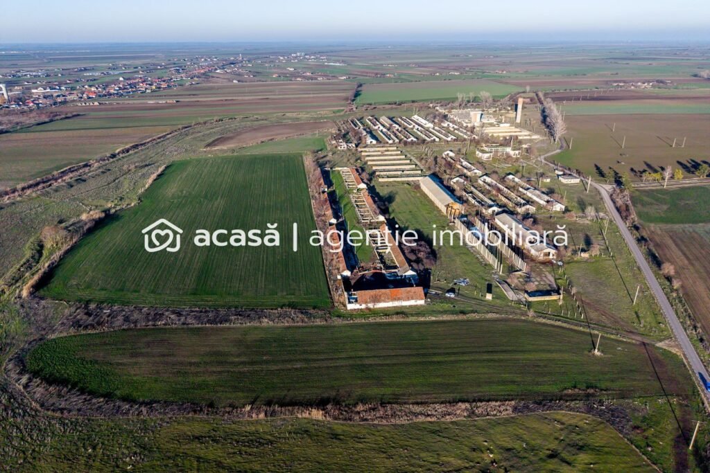 De vânzare NĂDLAC | Teren 1.15 HA lângă Autostradă | 2.500mp Hale în zona Exterior Vest Arad 1