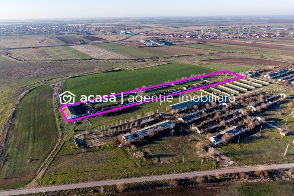 De vânzare NĂDLAC | Teren 1.15 HA lângă Autostradă | 2.500mp Hale în zona Exterior Vest Arad 1