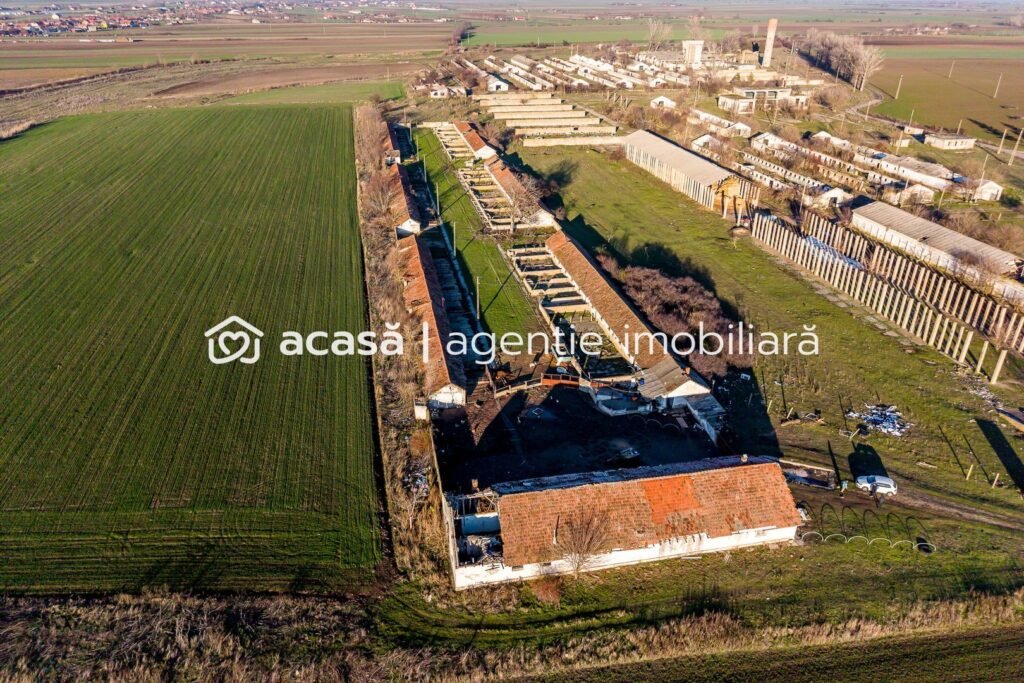 De vânzare NĂDLAC | Teren 1.15 HA lângă Autostradă | 2.500mp Hale în zona Exterior Vest Arad 1