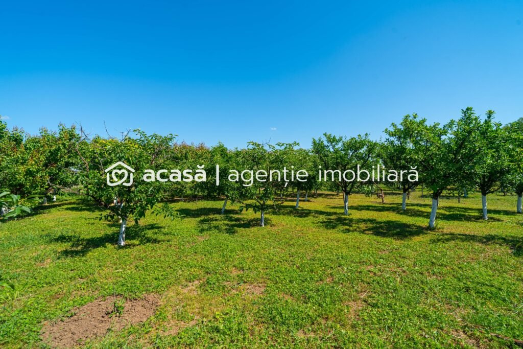 De vânzare Casă spațioasă cu teren generos în Felnac – la 18 km de Arad în zona Arad 5 camere 3 dormitoare Arad 1