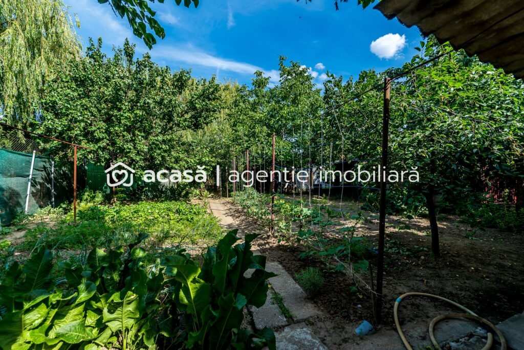 De vânzare Casa 3 camere, bucatarie si baie, in zona centrala din Chisineu-Cris în zona Central 3 camere 2 dormitoare Arad 1
