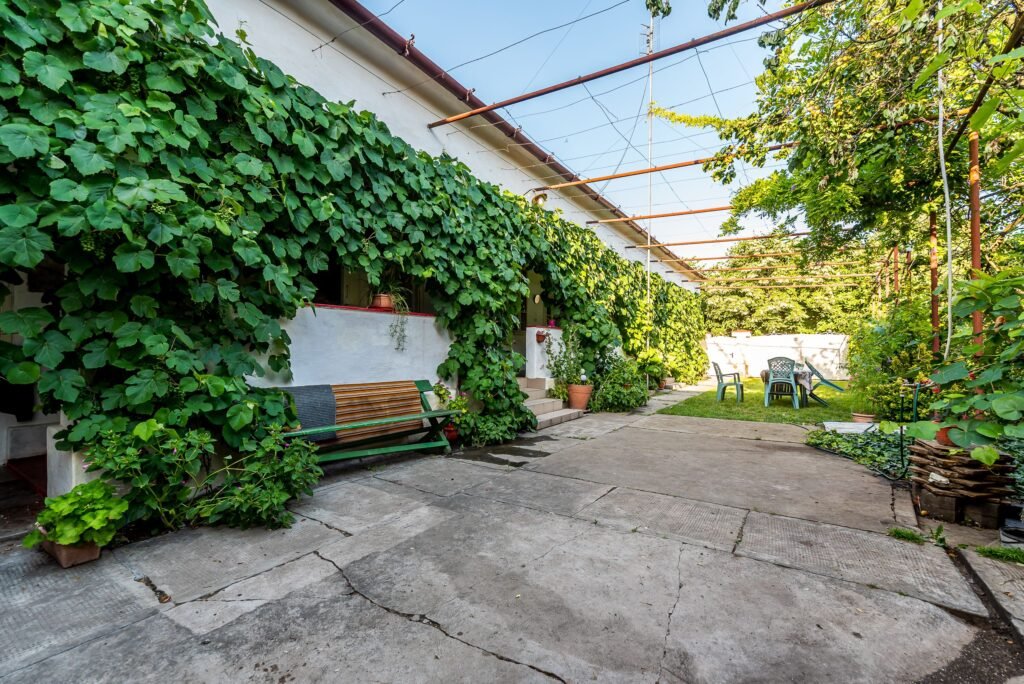 🏡 Casă nemțească autentică în Frumușeni – Fântânele, la 20 km de Arad De vânzare 🏡 Casă nemțească autentică în Frumușeni – Fântânele, la 20 km de Arad în zona Arad 3 camere 2 dormitoare Arad 1