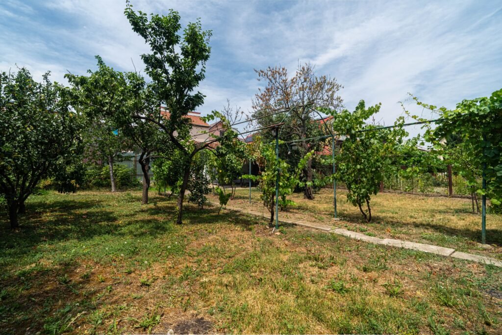 Casa 5 camere – teren 688 mp – Parneava – COMISION 0 De vânzare Casa 5 camere - teren 688 mp - Parneava - COMISION 0 în zona Parneava 5 camere 3 dormitoare Arad 1